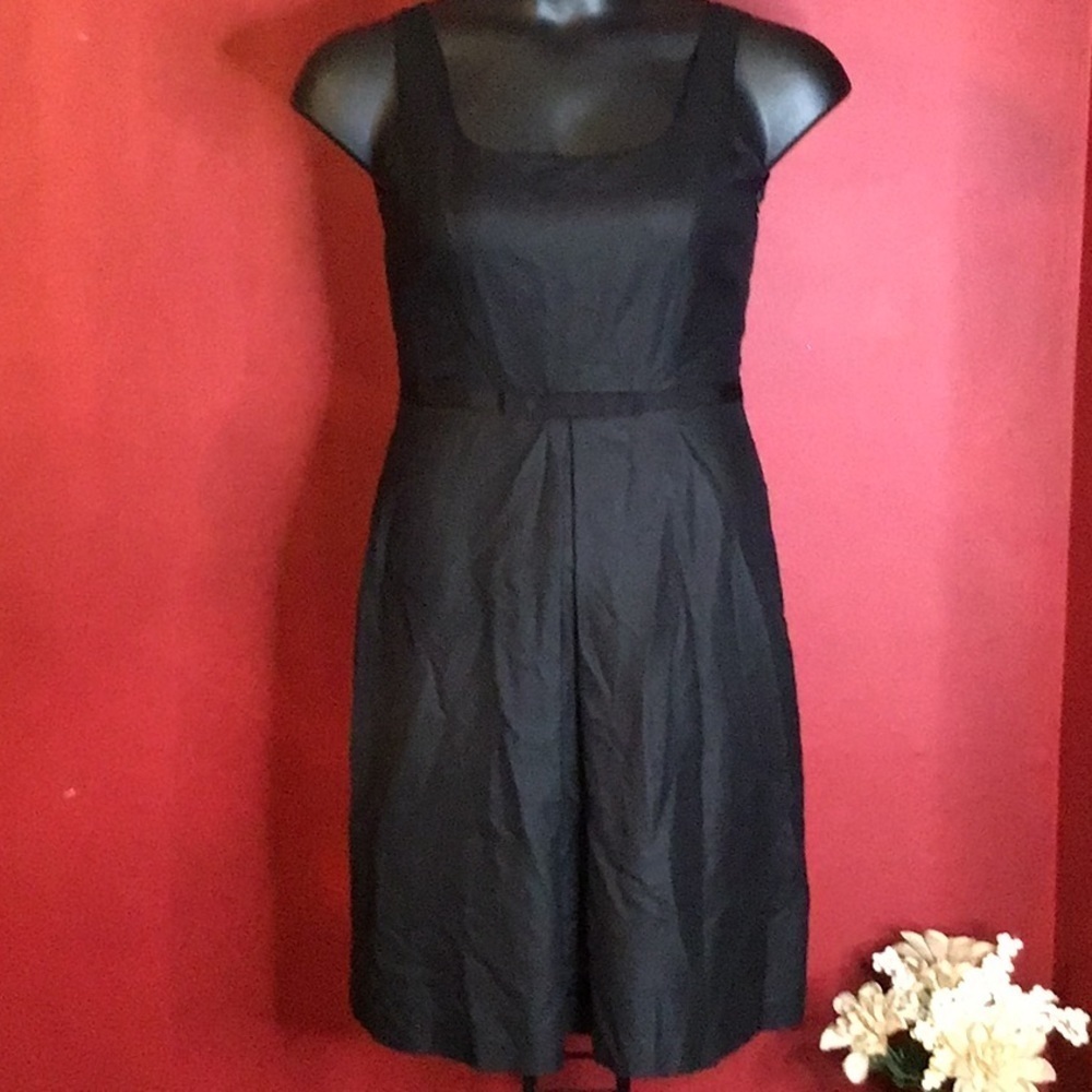 ANN TAYLOR SILK PETITES DRESS SIZE 4P - Picture 1 of 5